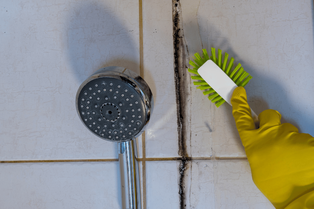 How to Remove Mold From the Shower